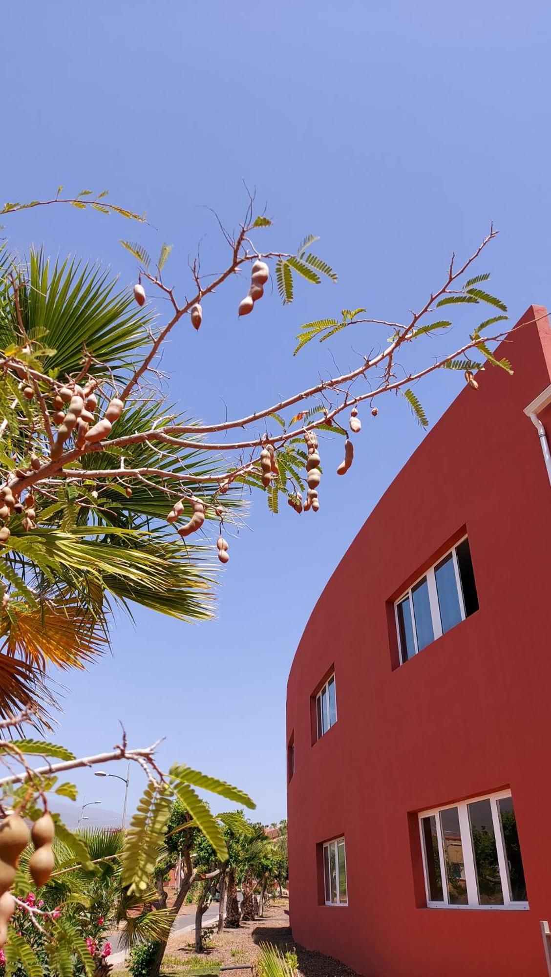 Adosado La Tabaiba Villa San Miguel de Abona Exterior photo